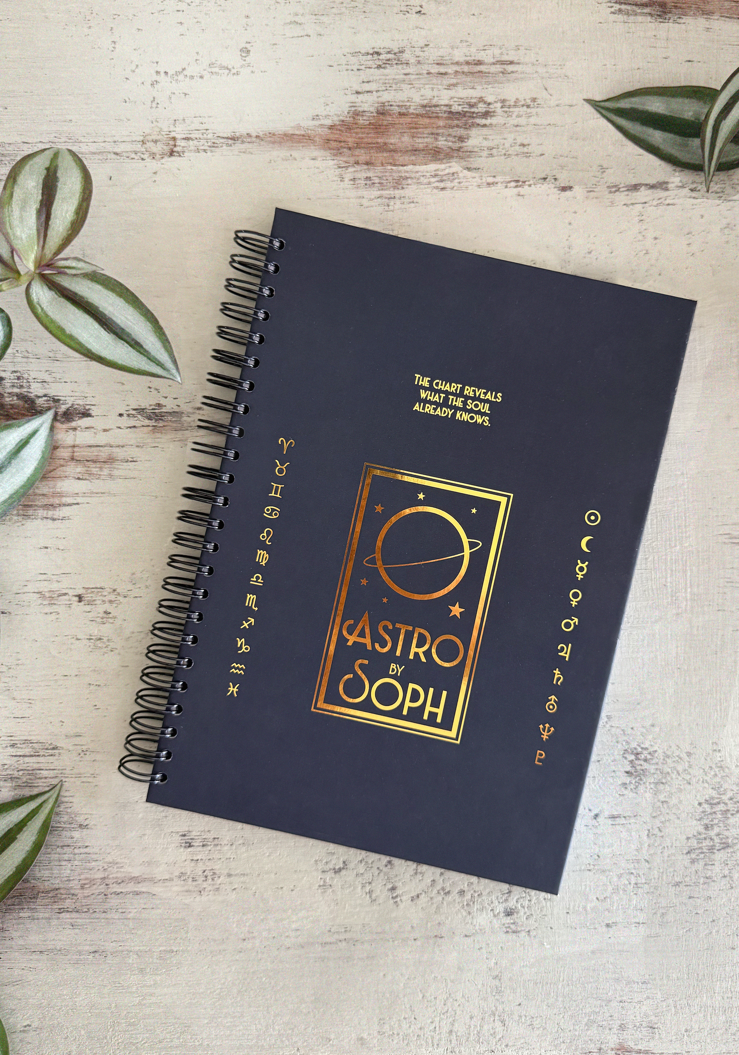 Astro (Wire-O)